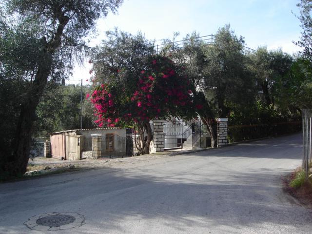 גאיוס Natsios Studios מראה חיצוני תמונה